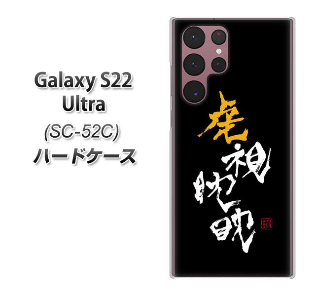 Galaxy S22 Ultra SC-52C docomo 高画質仕上げ 背面印刷 ハードケース【OE803 虎視眈々】
