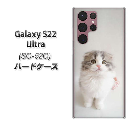 Galaxy S22 Ultra SC-52C docomo 高画質仕上げ 背面印刷 ハードケース【VA803 まっていますネコ】