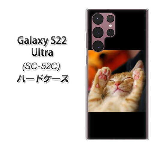 Galaxy S22 Ultra SC-52C docomo 高画質仕上げ 背面印刷 ハードケース【VA804 爆睡するネコ】