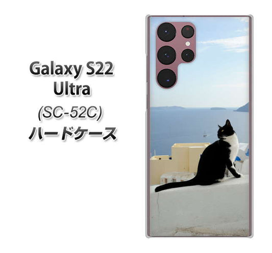 Galaxy S22 Ultra SC-52C docomo 高画質仕上げ 背面印刷 ハードケース【VA805 ネコと地中海】