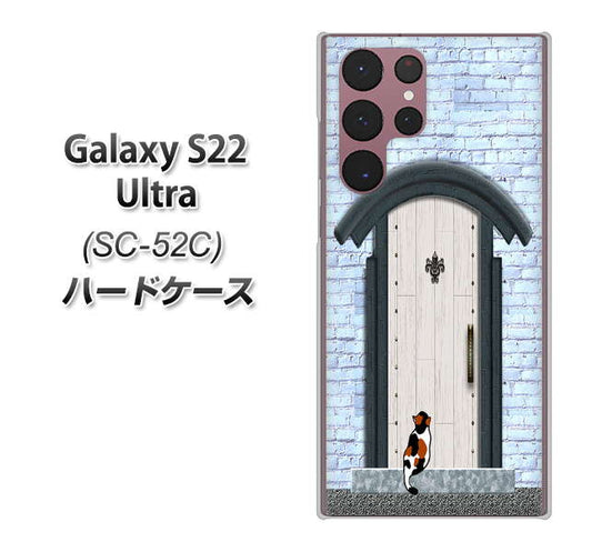 Galaxy S22 Ultra SC-52C docomo 高画質仕上げ 背面印刷 ハードケース【YA951 石ドア01】