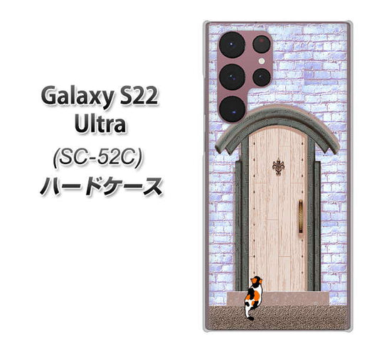 Galaxy S22 Ultra SC-52C docomo 高画質仕上げ 背面印刷 ハードケース【YA952 石ドア02 素材クリア】