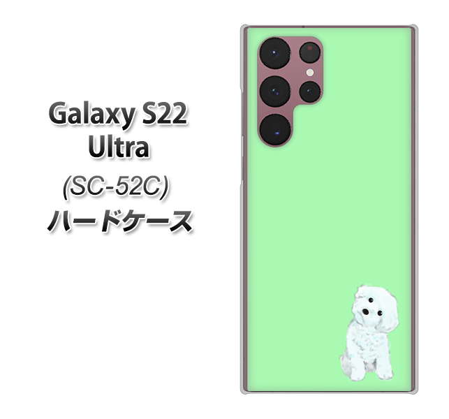 Galaxy S22 Ultra SC-52C docomo 高画質仕上げ 背面印刷 ハードケース【YJ071 トイプードルホワイト（グリーン）】