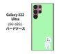 Galaxy S22 Ultra SC-52C docomo 高画質仕上げ 背面印刷 ハードケース【YJ071 トイプードルホワイト（グリーン）】