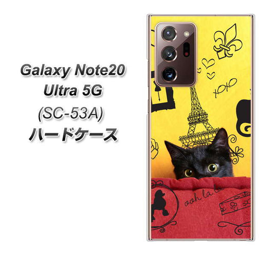 docomo ギャラクシー ノート20 ウルトラ 5G SC-53A 高画質仕上げ 背面印刷 ハードケース【686 パリの子猫】