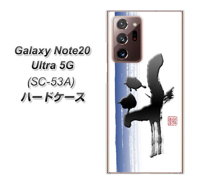 docomo ギャラクシー ノート20 ウルトラ 5G SC-53A 高画質仕上げ 背面印刷 ハードケース【OE829 斗】