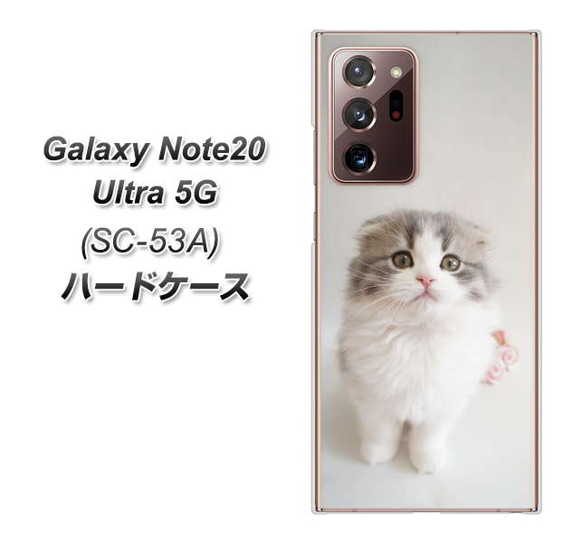 docomo ギャラクシー ノート20 ウルトラ 5G SC-53A 高画質仕上げ 背面印刷 ハードケース【VA803 まっていますネコ】