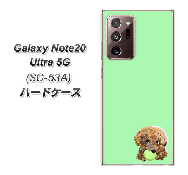 docomo ギャラクシー ノート20 ウルトラ 5G SC-53A 高画質仕上げ 背面印刷 ハードケース【YJ055 トイプードル＆ボール（グリーン）】