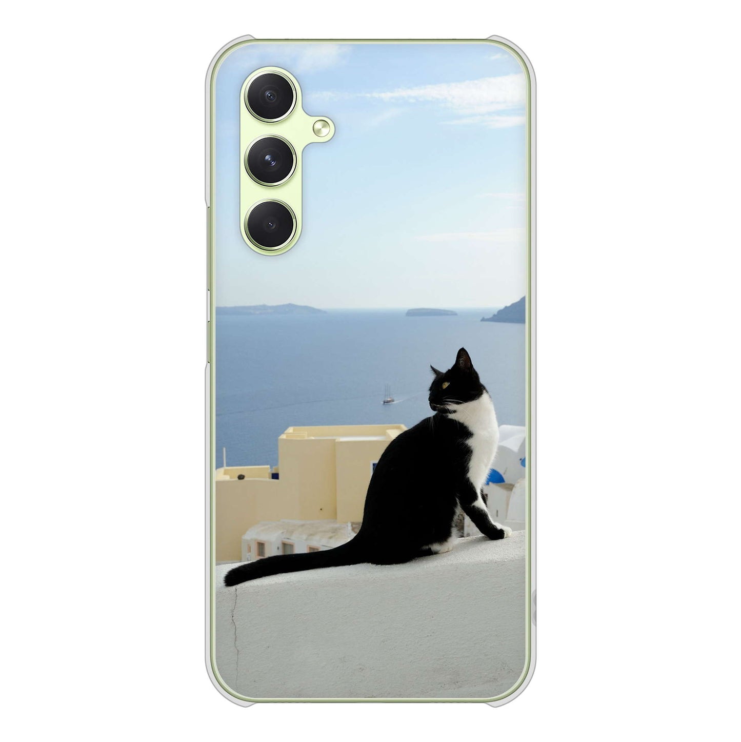 Galaxy A54 5G SC-53D docomo 高画質仕上げ 背面印刷 ハードケース 【VA805 ネコと地中海】