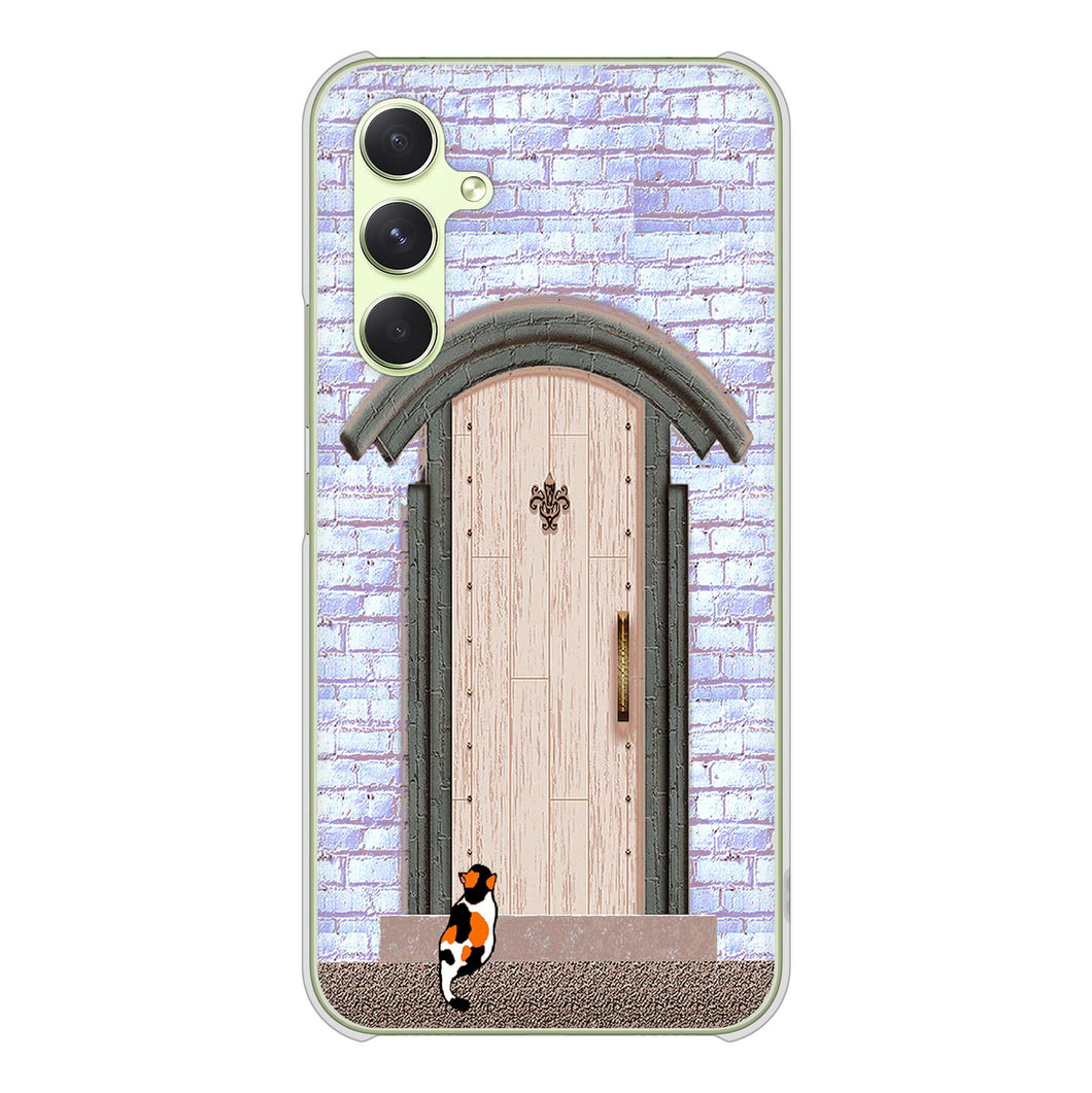 Galaxy A54 5G SC-53D docomo 高画質仕上げ 背面印刷 ハードケース猫とドア