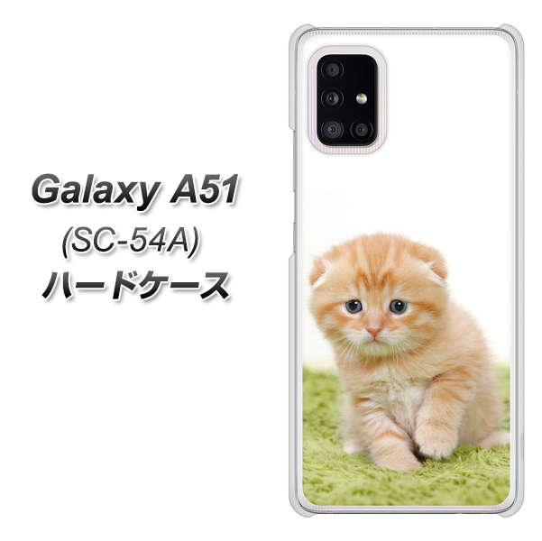 docomo ギャラクシーA51 SC-54A 高画質仕上げ 背面印刷 ハードケース【VA802 ネコこっそり】