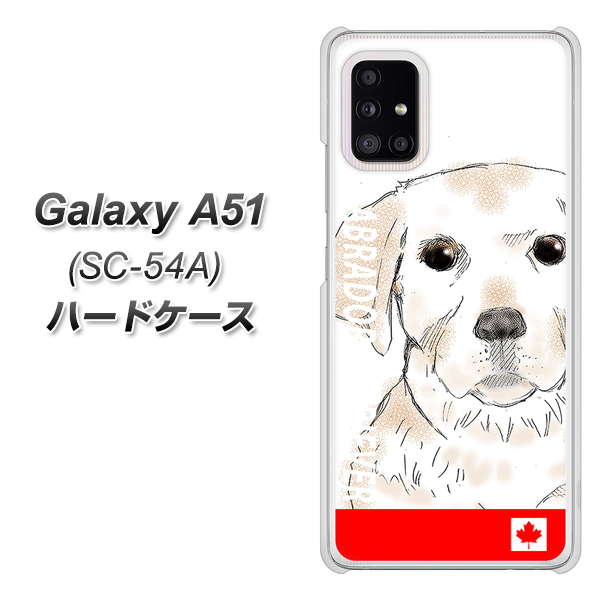 docomo ギャラクシーA51 SC-54A 高画質仕上げ 背面印刷 ハードケース【YD821 ラブラドールレトリバー02】