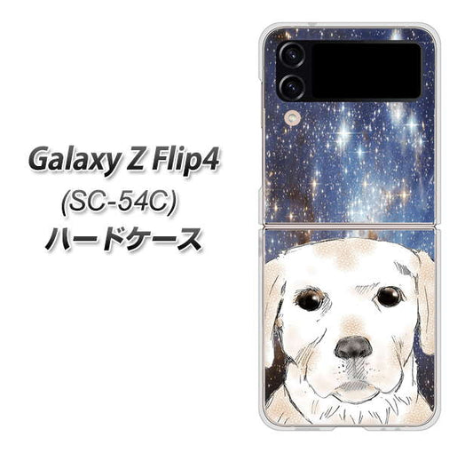 Galaxy Z Flip4 SC-54C docomo 高画質仕上げ 背面印刷 ハードケース【YD820 ラブラドールレトリバー01】