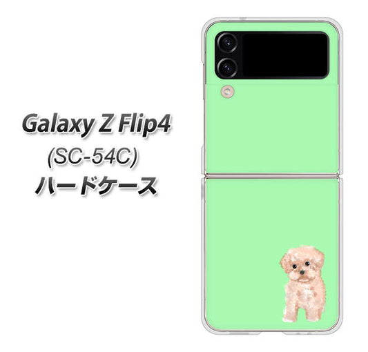 Galaxy Z Flip4 SC-54C docomo 高画質仕上げ 背面印刷 ハードケース【YJ063 トイプードルアプリコット（グリーン）】