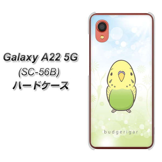 Galaxy A22 5G SC-56B docomo 高画質仕上げ 背面印刷 ハードケース【SC838 セキセイインコ グリーン】