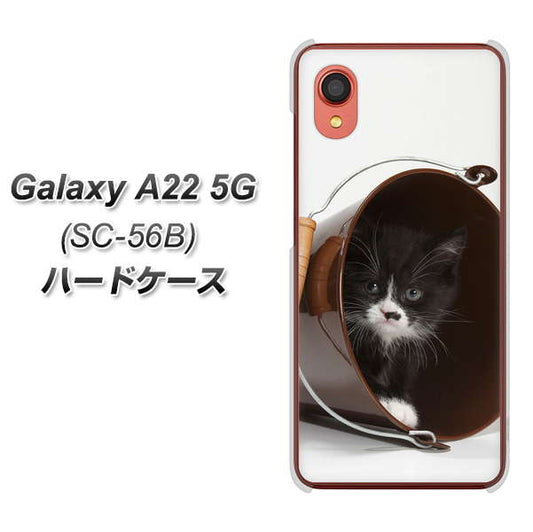 Galaxy A22 5G SC-56B docomo 高画質仕上げ 背面印刷 ハードケース【VA800 ネコとバケツ】