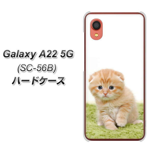 Galaxy A22 5G SC-56B docomo 高画質仕上げ 背面印刷 ハードケース【VA802 ネコこっそり】