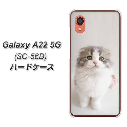 Galaxy A22 5G SC-56B docomo 高画質仕上げ 背面印刷 ハードケース【VA803 まっていますネコ】