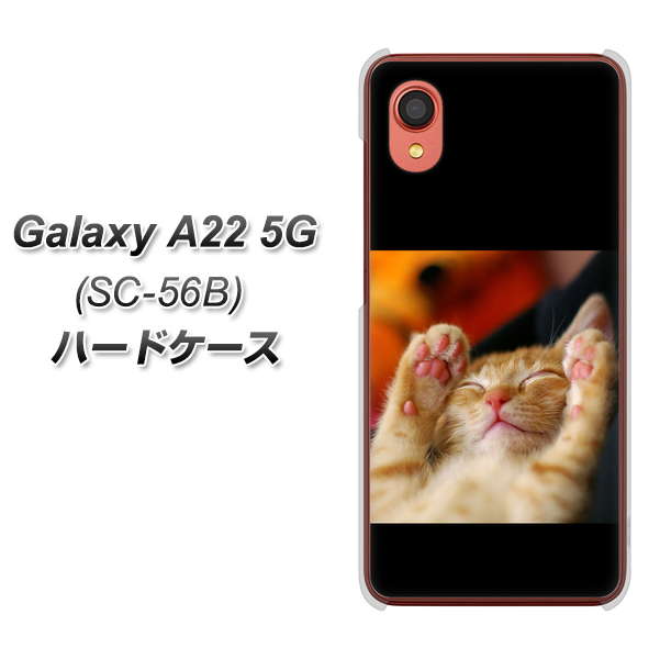 Galaxy A22 5G SC-56B docomo 高画質仕上げ 背面印刷 ハードケース【VA804 爆睡するネコ】