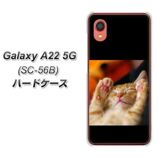 Galaxy A22 5G SC-56B docomo 高画質仕上げ 背面印刷 ハードケース【VA804 爆睡するネコ】