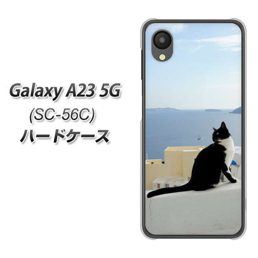 Galaxy A23 5G SC-56C docomo 高画質仕上げ 背面印刷 ハードケース【VA805 ネコと地中海】