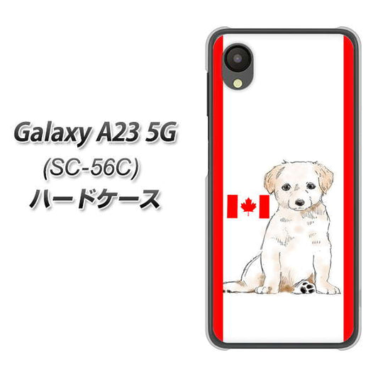 Galaxy A23 5G SC-56C docomo 高画質仕上げ 背面印刷 ハードケース【YD824 ラブラドールレトリバー05】