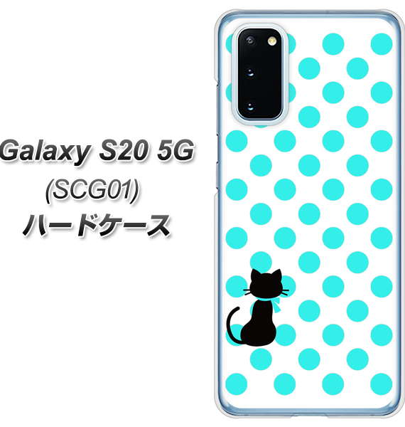 au ギャラクシー S20 5G SCG01 高画質仕上げ 背面印刷 ハードケース【EK809 ネコとシンプル ライトブルー】