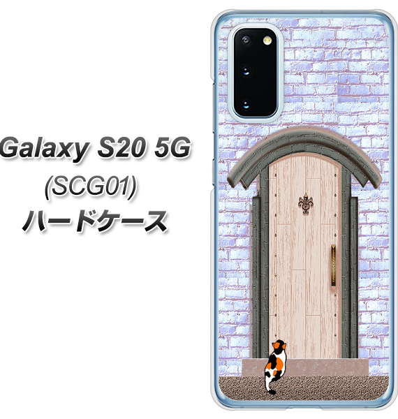 au ギャラクシー S20 5G SCG01 高画質仕上げ 背面印刷 ハードケース【YA952 石ドア02 素材クリア】