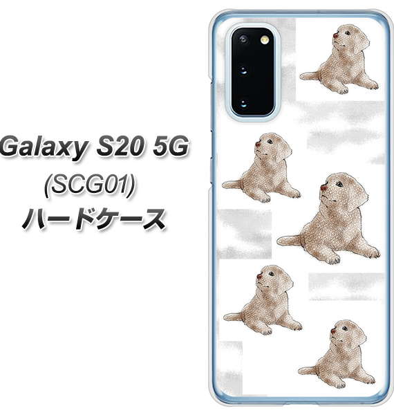 au ギャラクシー S20 5G SCG01 高画質仕上げ 背面印刷 ハードケース【YD823 ラブラドールレトリバー04】
