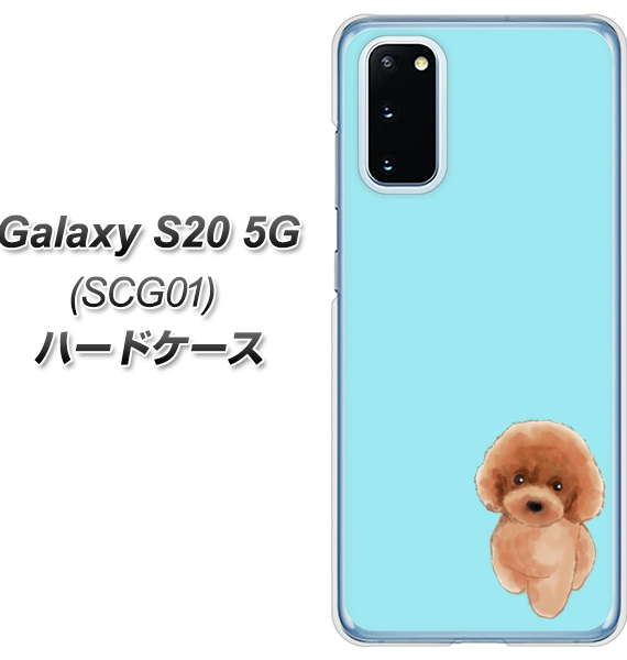 au ギャラクシー S20 5G SCG01 高画質仕上げ 背面印刷 ハードケース【YJ050 トイプードルレッド（ブルー）】