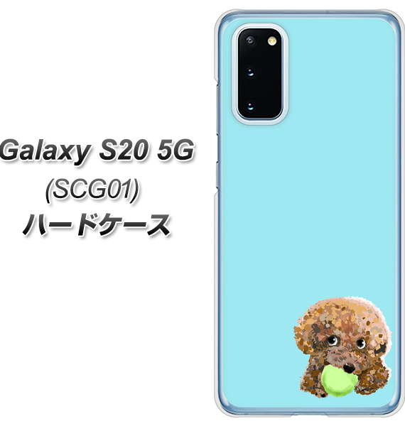 au ギャラクシー S20 5G SCG01 高画質仕上げ 背面印刷 ハードケース【YJ054 トイプードル＆ボール（ブルー）】