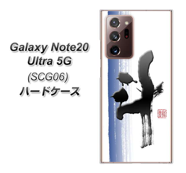 au ギャラクシー ノート20 ウルトラ 5G SCG06 高画質仕上げ 背面印刷 ハードケース【OE829 斗】