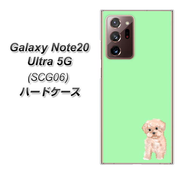 au ギャラクシー ノート20 ウルトラ 5G SCG06 高画質仕上げ 背面印刷 ハードケース【YJ063 トイプードルアプリコット（グリーン）】