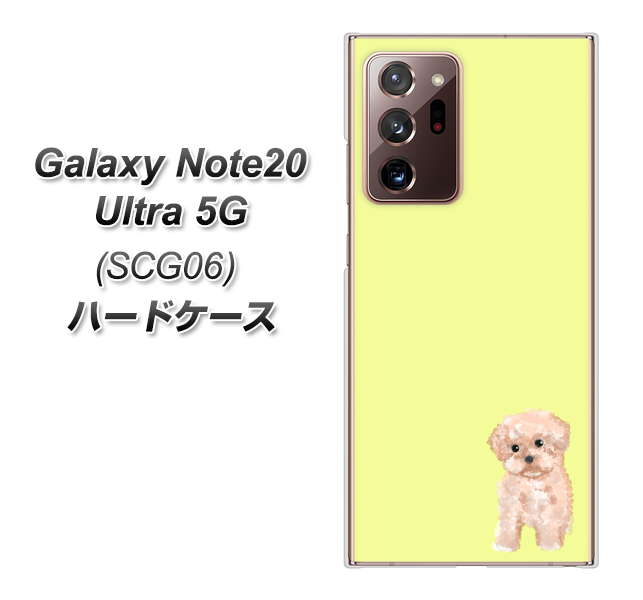 au ギャラクシー ノート20 ウルトラ 5G SCG06 高画質仕上げ 背面印刷 ハードケース【YJ064 トイプードルアプリコット（イエロー）】