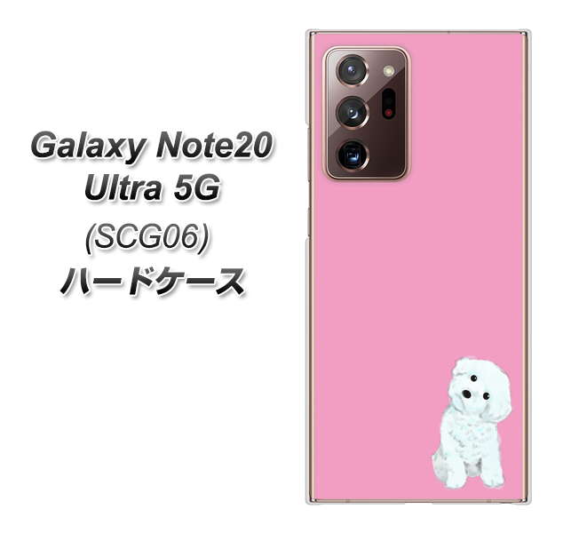 au ギャラクシー ノート20 ウルトラ 5G SCG06 高画質仕上げ 背面印刷 ハードケース【YJ069 トイプードルホワイト（ピンク）】