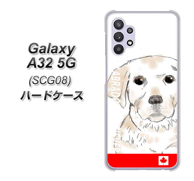 au ギャラクシーA32 5G SCG08 高画質仕上げ 背面印刷 ハードケース【YD821 ラブラドールレトリバー02】