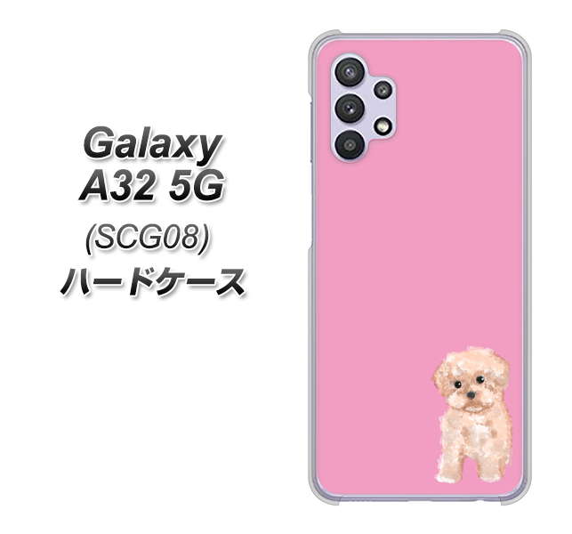 au ギャラクシーA32 5G SCG08 高画質仕上げ 背面印刷 ハードケース【YJ061 トイプードルアプリコット（ピンク）】