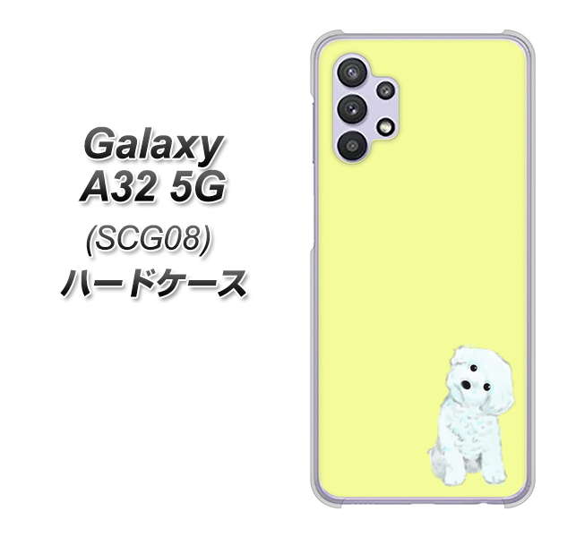 au ギャラクシーA32 5G SCG08 高画質仕上げ 背面印刷 ハードケース【YJ072 トイプードルホワイト（イエロー）】