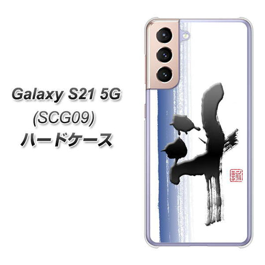 au ギャラクシーS21 5G SCG09 高画質仕上げ 背面印刷 ハードケース【OE829 斗】
