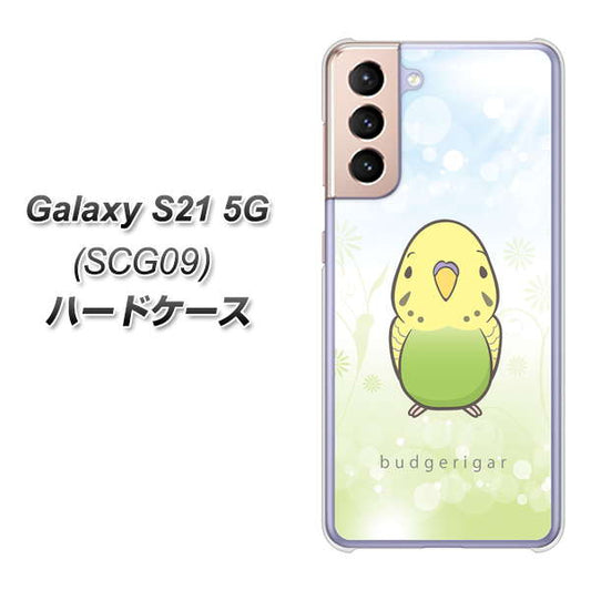 au ギャラクシーS21 5G SCG09 高画質仕上げ 背面印刷 ハードケース【SC838 セキセイインコ グリーン】