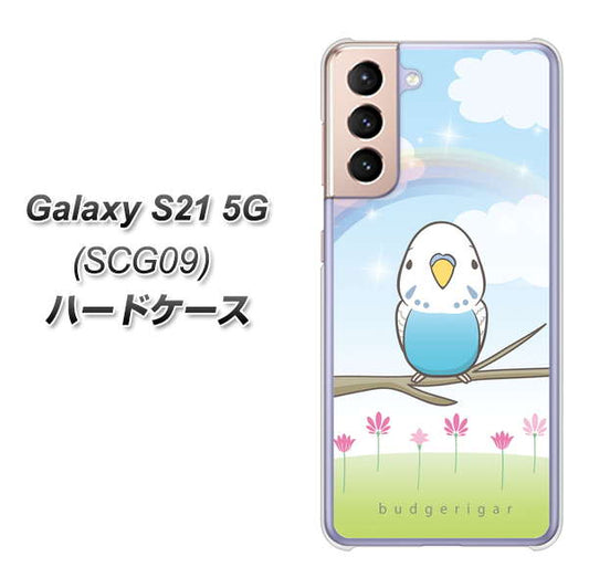 au ギャラクシーS21 5G SCG09 高画質仕上げ 背面印刷 ハードケース【SC839 セキセイインコ ブルー】