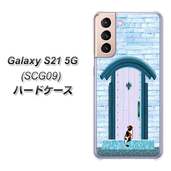 au ギャラクシーS21 5G SCG09 高画質仕上げ 背面印刷 ハードケース【YA953 石ドア03 素材クリア】