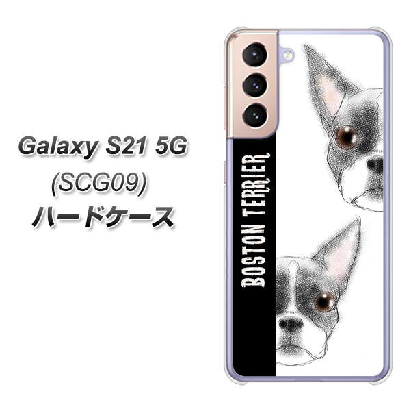 au ギャラクシーS21 5G SCG09 高画質仕上げ 背面印刷 ハードケース【YD850 ボストンテリア01】