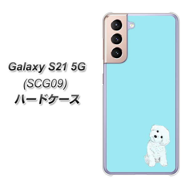 au ギャラクシーS21 5G SCG09 高画質仕上げ 背面印刷 ハードケース【YJ070 トイプードルホワイト（ブルー）】