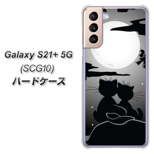 au ギャラクシーS21+ 5G SCG10 高画質仕上げ 背面印刷 ハードケース【342 月夜の二人】