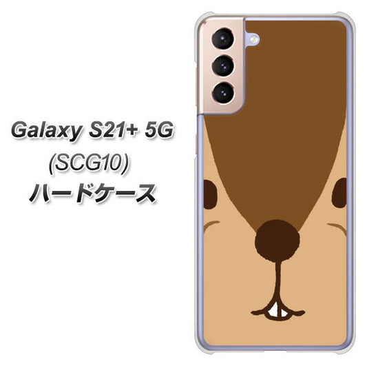 au ギャラクシーS21+ 5G SCG10 高画質仕上げ 背面印刷 ハードケース【349 りす】