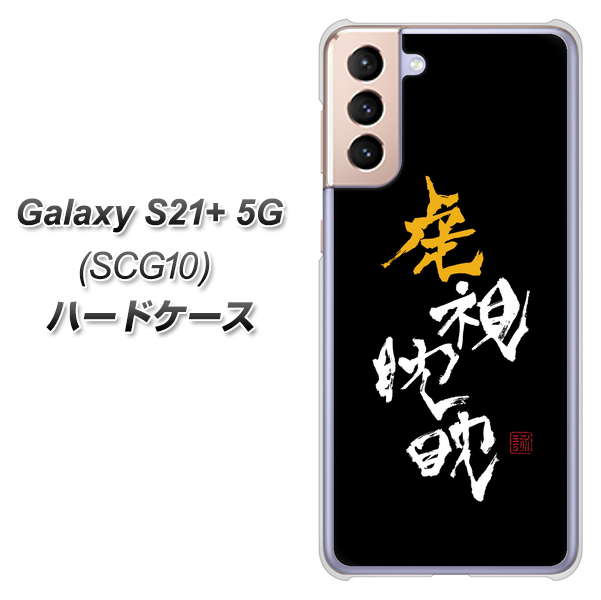 au ギャラクシーS21+ 5G SCG10 高画質仕上げ 背面印刷 ハードケース【OE803 虎視眈々】