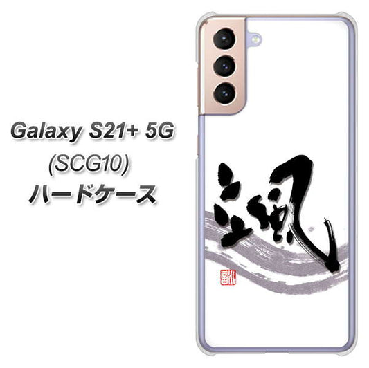 au ギャラクシーS21+ 5G SCG10 高画質仕上げ 背面印刷 ハードケース【OE827 颯】