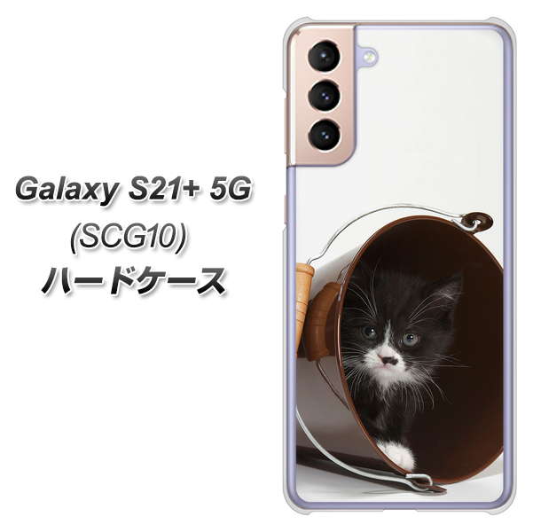 au ギャラクシーS21+ 5G SCG10 高画質仕上げ 背面印刷 ハードケース【VA800 ネコとバケツ】