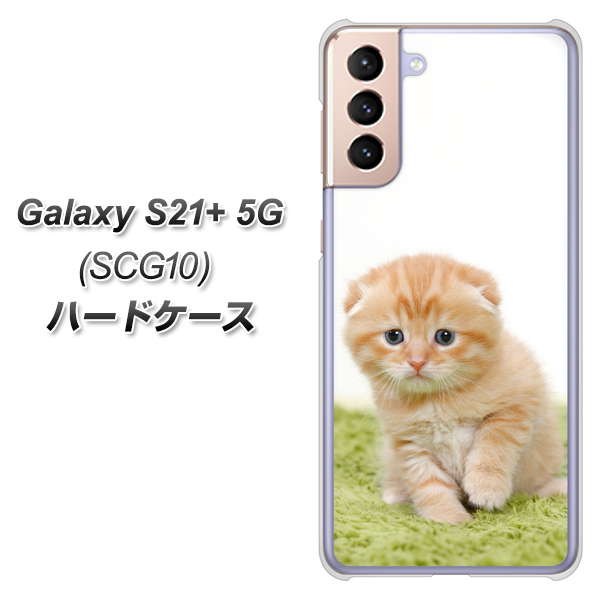 au ギャラクシーS21+ 5G SCG10 高画質仕上げ 背面印刷 ハードケース【VA802 ネコこっそり】